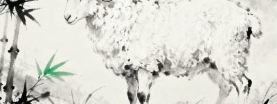 冒充善人假慈悲指打一最佳生肖生肖，成语释义作答揭晓