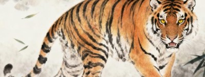 齐天大圣反人间指一正确生肖是什么，最新解答揭晓落实