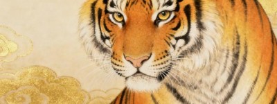 诪张为幻猜一最佳最佳生肖，猜一词语释义解释