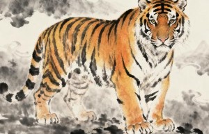 来兔跟猴取牛羊是指代表什么生肖，答案解析解释落实