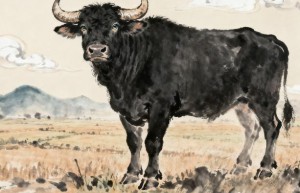 玉佩丁东仙步远，秋风原下久裴回猜一最佳最佳生肖，揭秘诠释解析落实